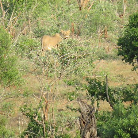 Riverview Inn Malalane Bagian luar foto