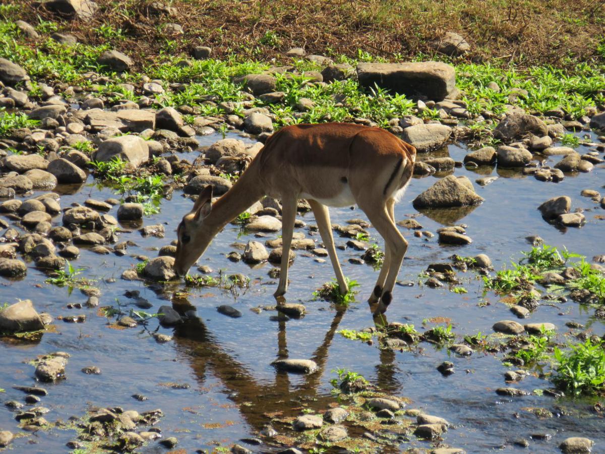Riverview Inn Malalane Bagian luar foto