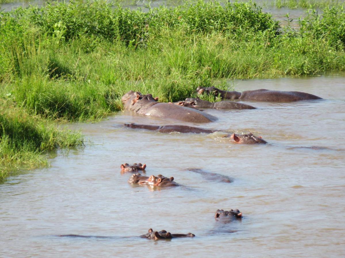 Riverview Inn Malalane Bagian luar foto